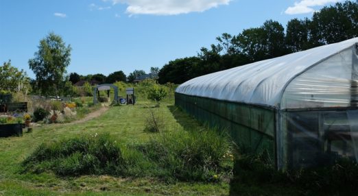 Meadow Well Connected celebrate a successful remote Get Online Week